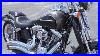 954336_2008_Harley_Davidson_Cvo_Softail_Springer_Fxstsse2_Used_Motorcycles_For_Sale_01_cwv