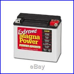 Batterie Magna Power Agm Harley Davidson Softail 1991-2016