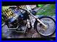 Harley_davidson_FXST_SOFTAIL_Annee_2000_70000KMS_a_carburateur_01_mnp